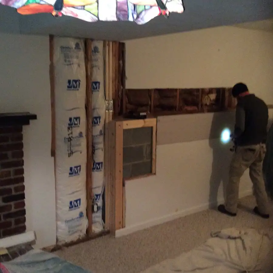 Restoration technician inspecting water damage in Webster